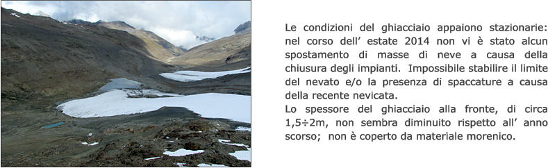 Le condizioni del ghiacciaio appaiono stazionarie: nel corso dell’ estate 2014 non vi è stato alcun spostamento di masse di neve a causa della chiusura degli impianti.  Impossibile stabilire il limite del nevato e/o la presenza di spaccature a causa della recente nevicata. Lo spessore del ghiacciaio alla fronte, di circa 1,5÷2m, non sembra diminuito rispetto all’ anno scorso;  non è coperto da materiale morenico.